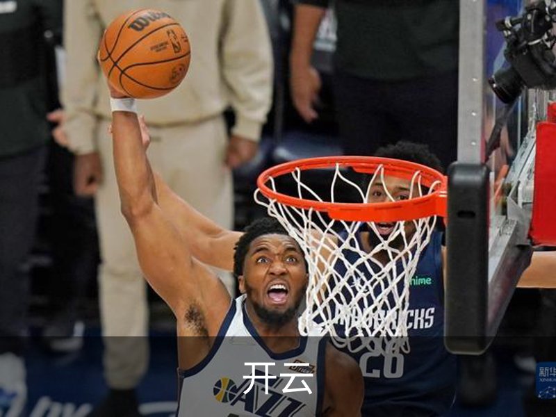 了解开云